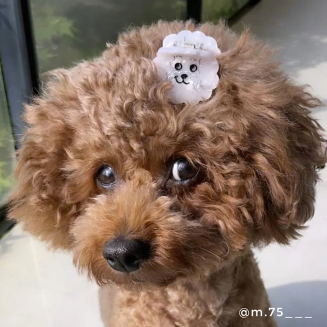 Mini pince à cheveux - Bichon