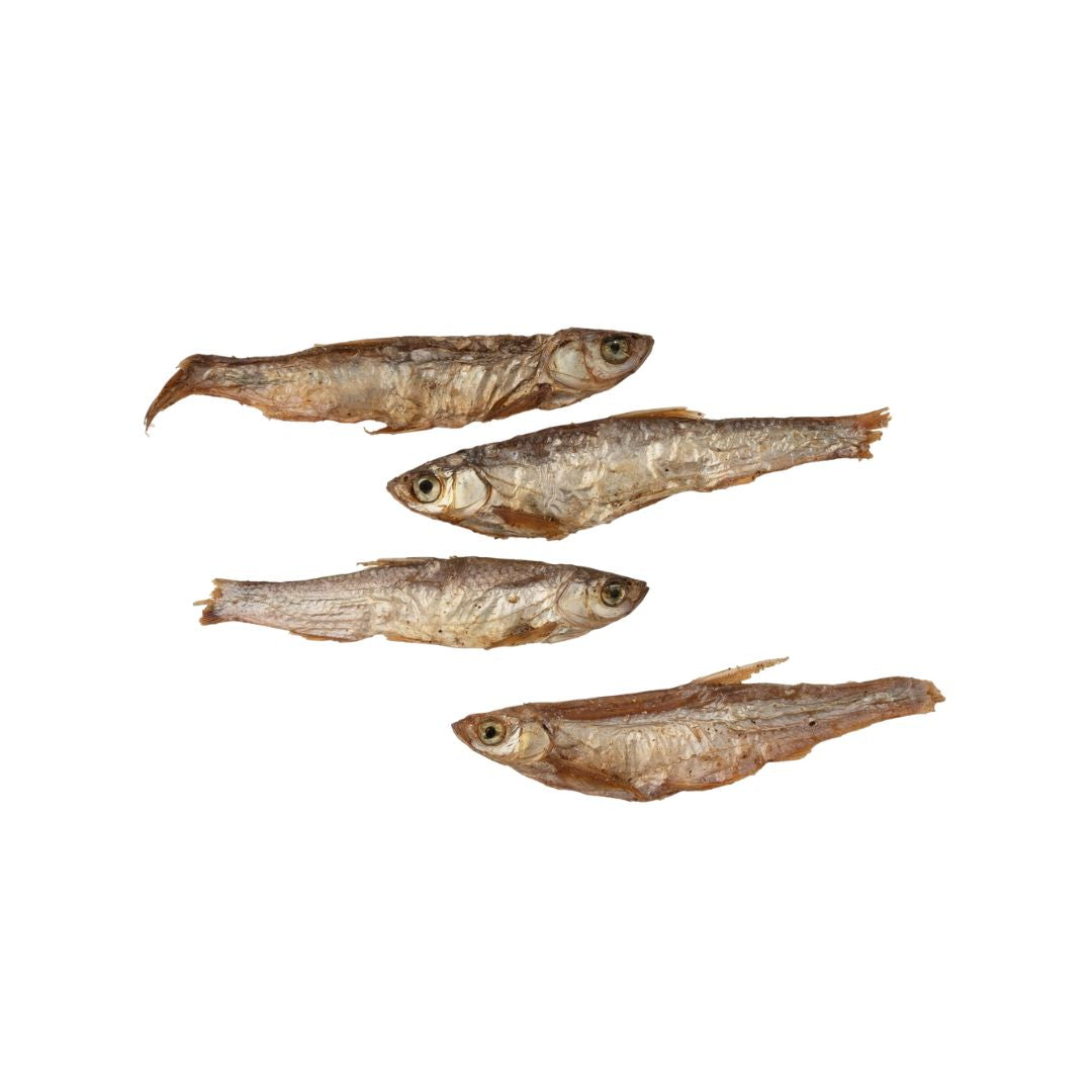 Petits poissons - Friandises séchées