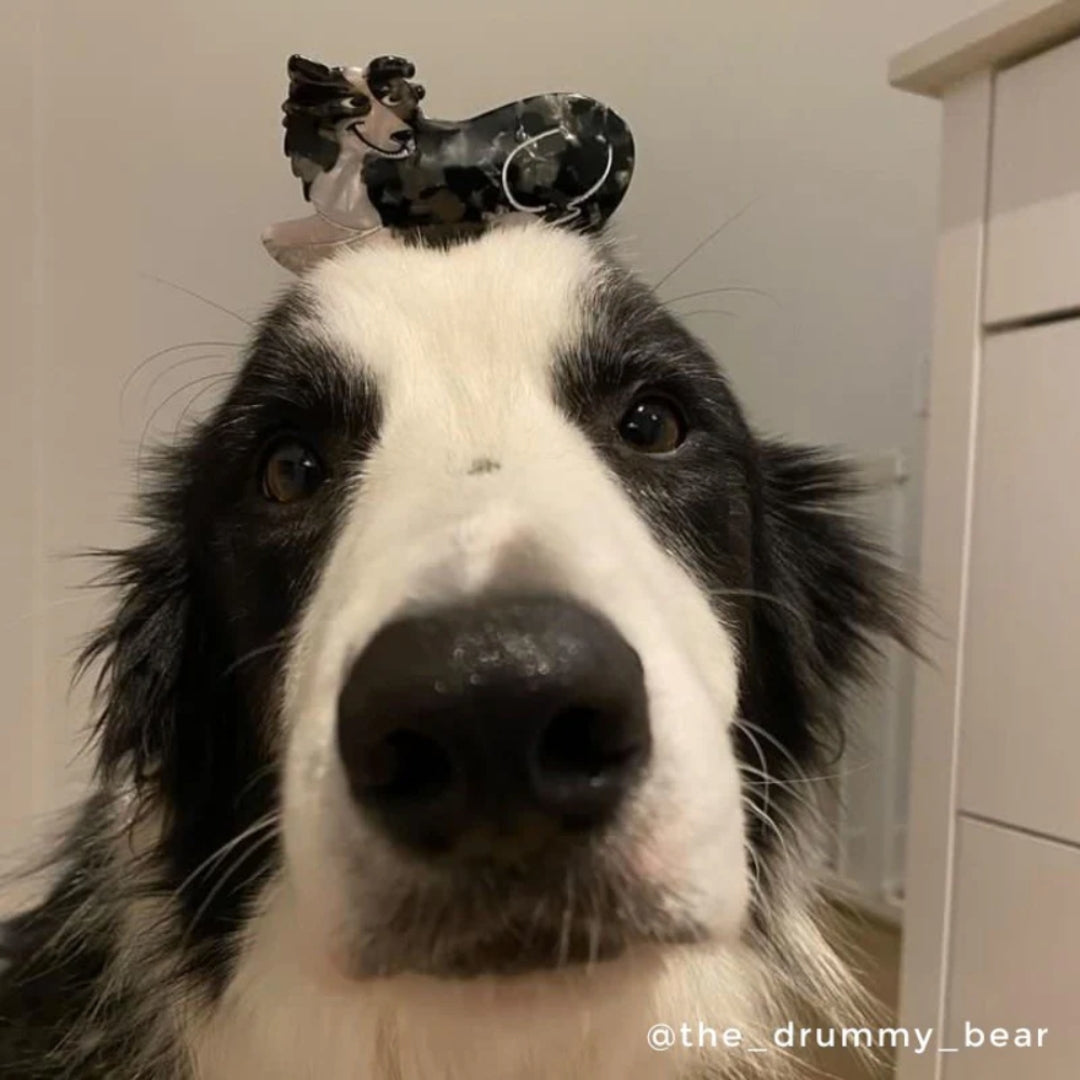 Pince à cheveux - Border Collie