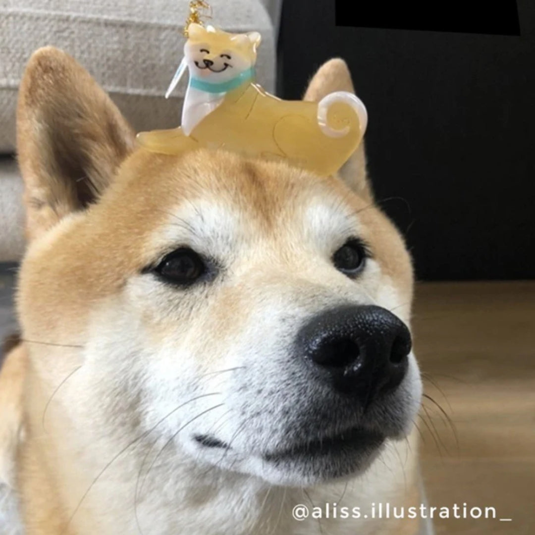 Pince à cheveux - Shiba