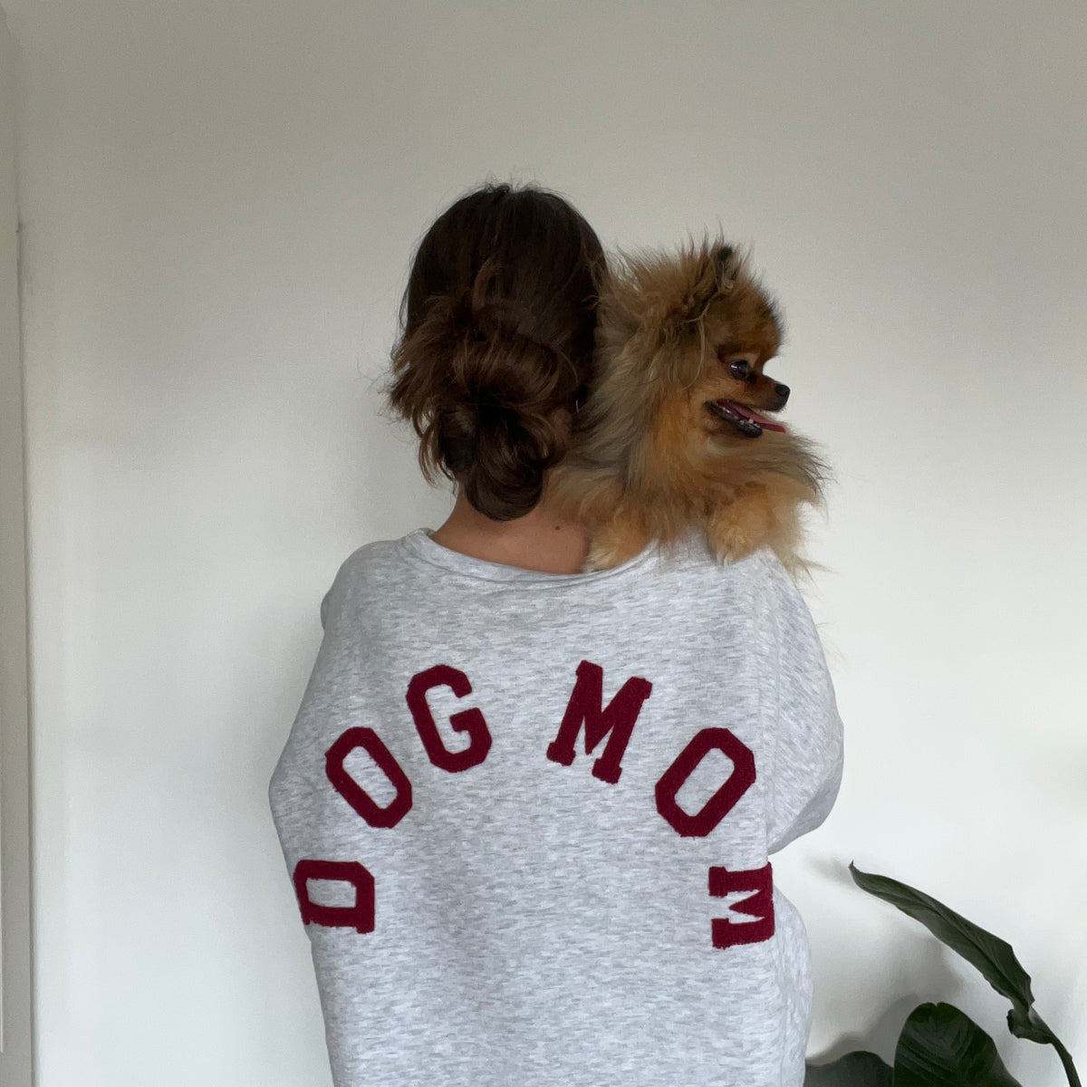Pull DOGMOM - Gris & Bordeaux