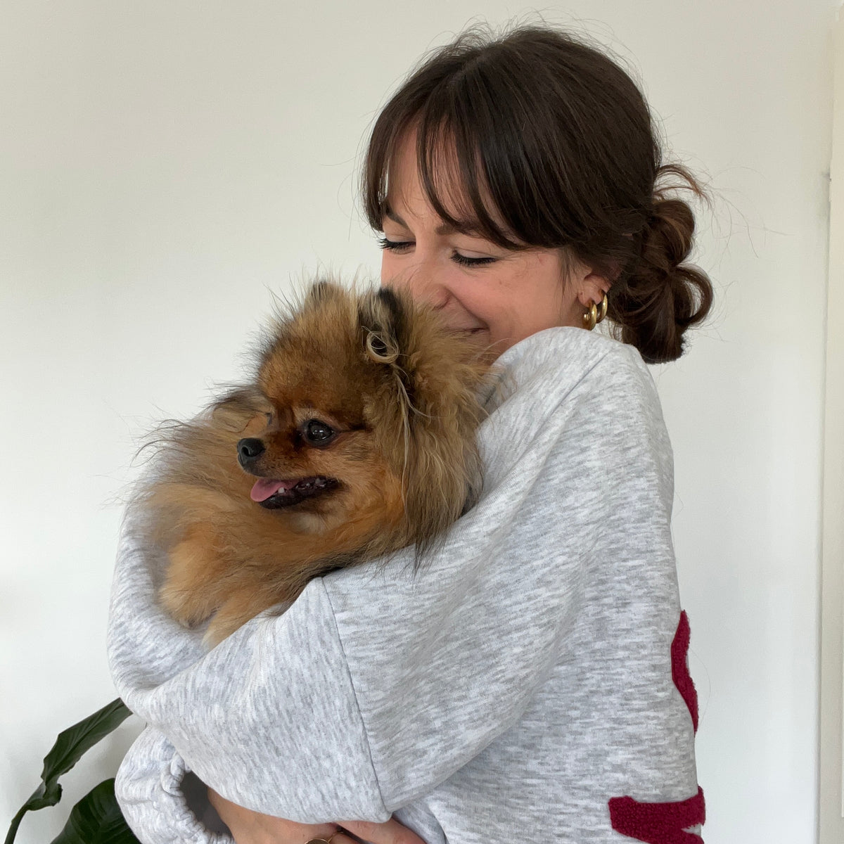 Pull DOGMOM - Gris & Bordeaux