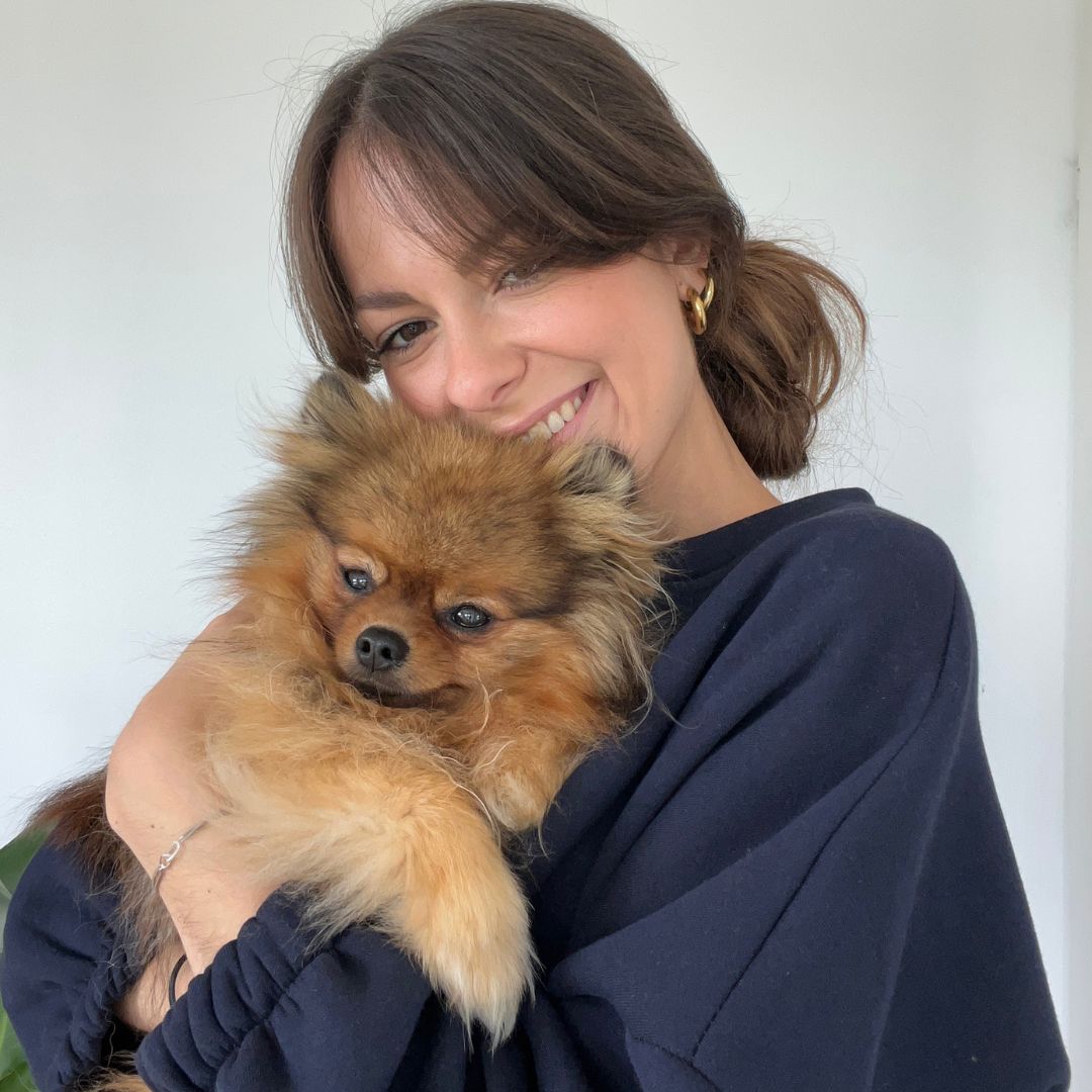 Pull DOGMOM - Bleu Marine