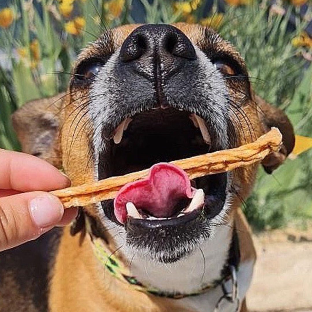 SUZY Sticks à mâcher - Foie de volaille & Bois de Cerf