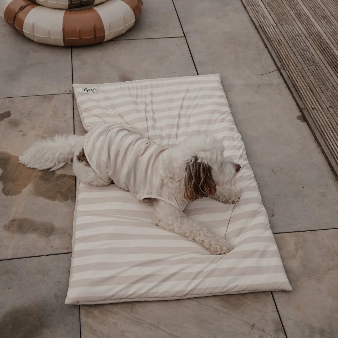 Tapis rafraîchissant - Summer Breeze
