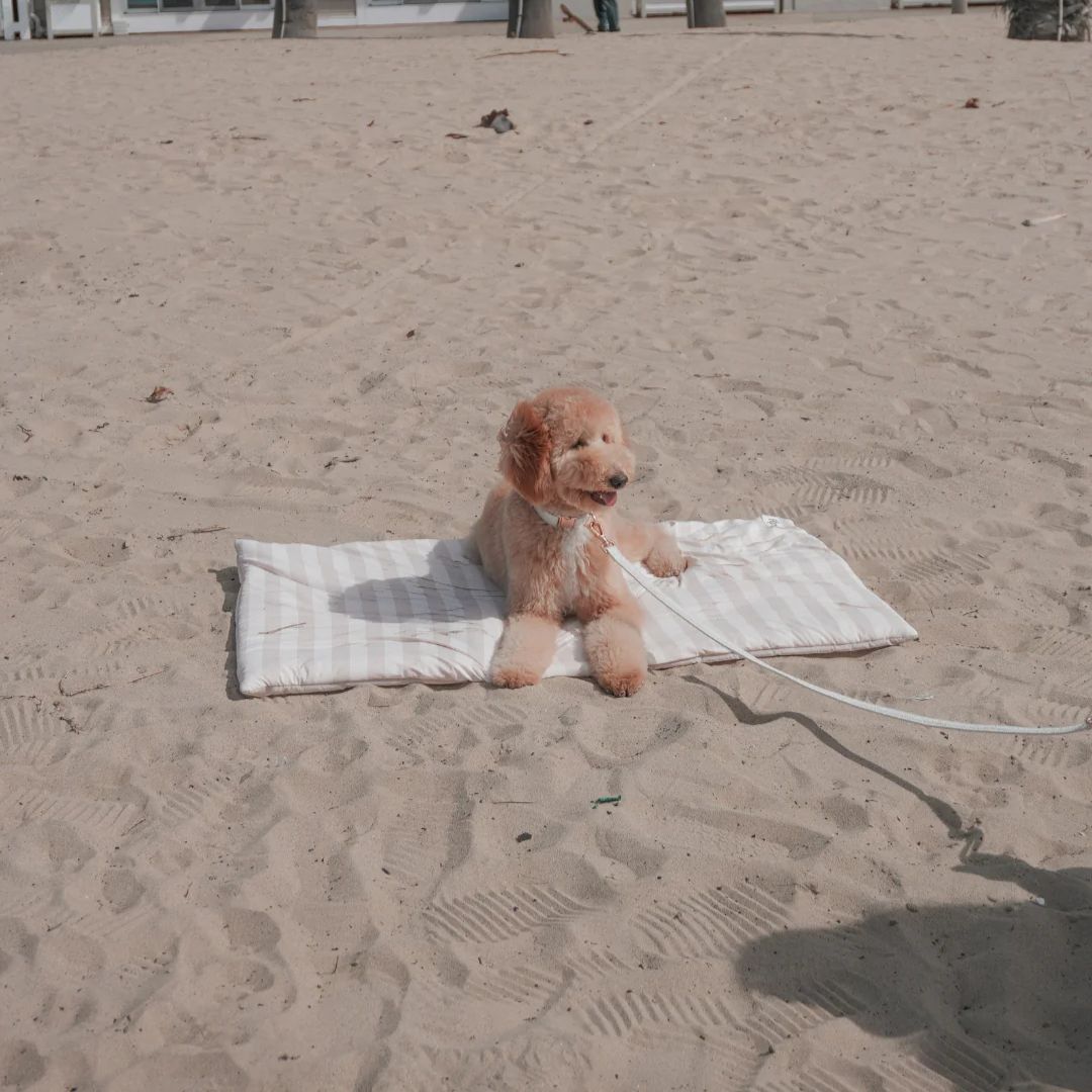Tapis rafraîchissant - Summer Breeze