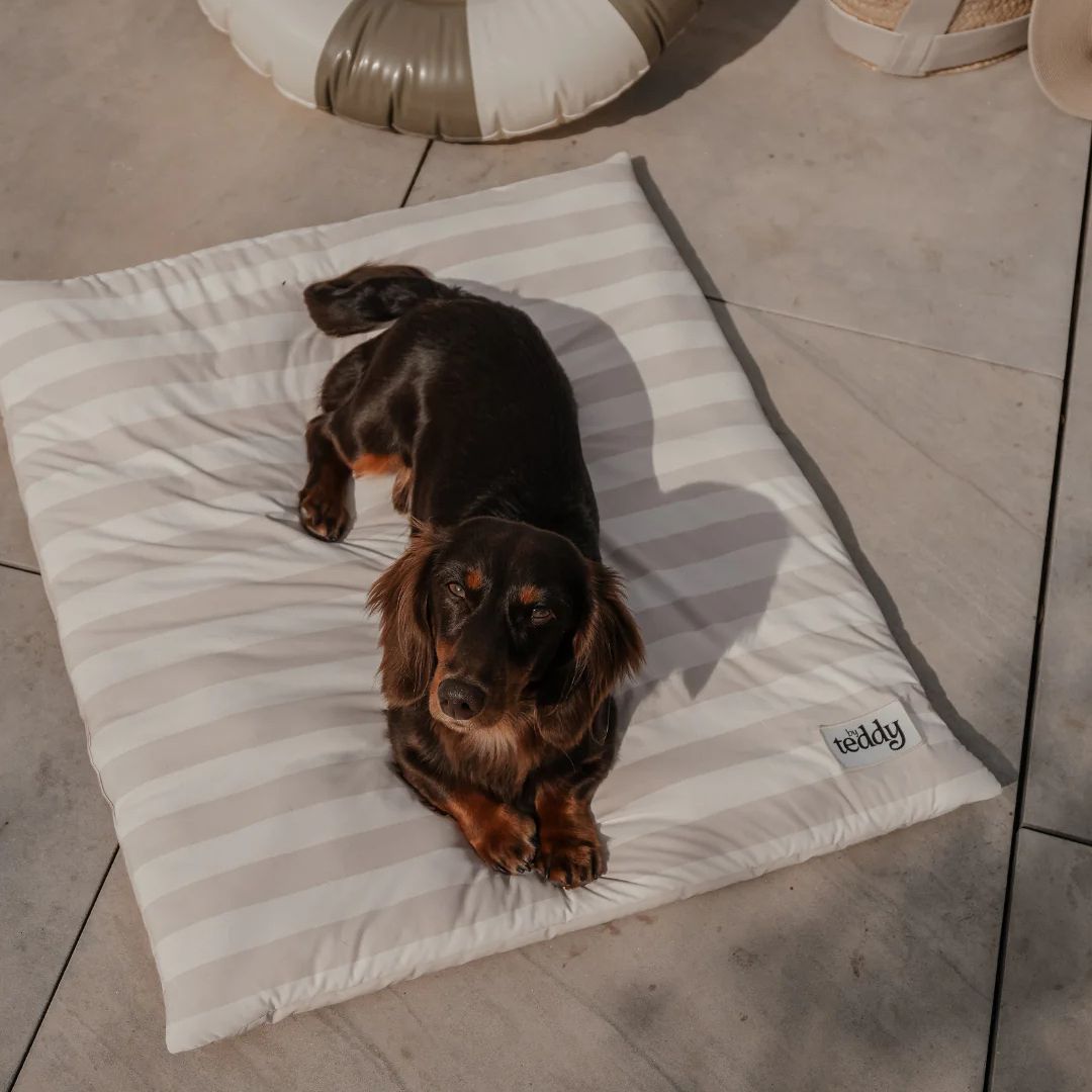 Tapis rafraîchissant - Summer Breeze