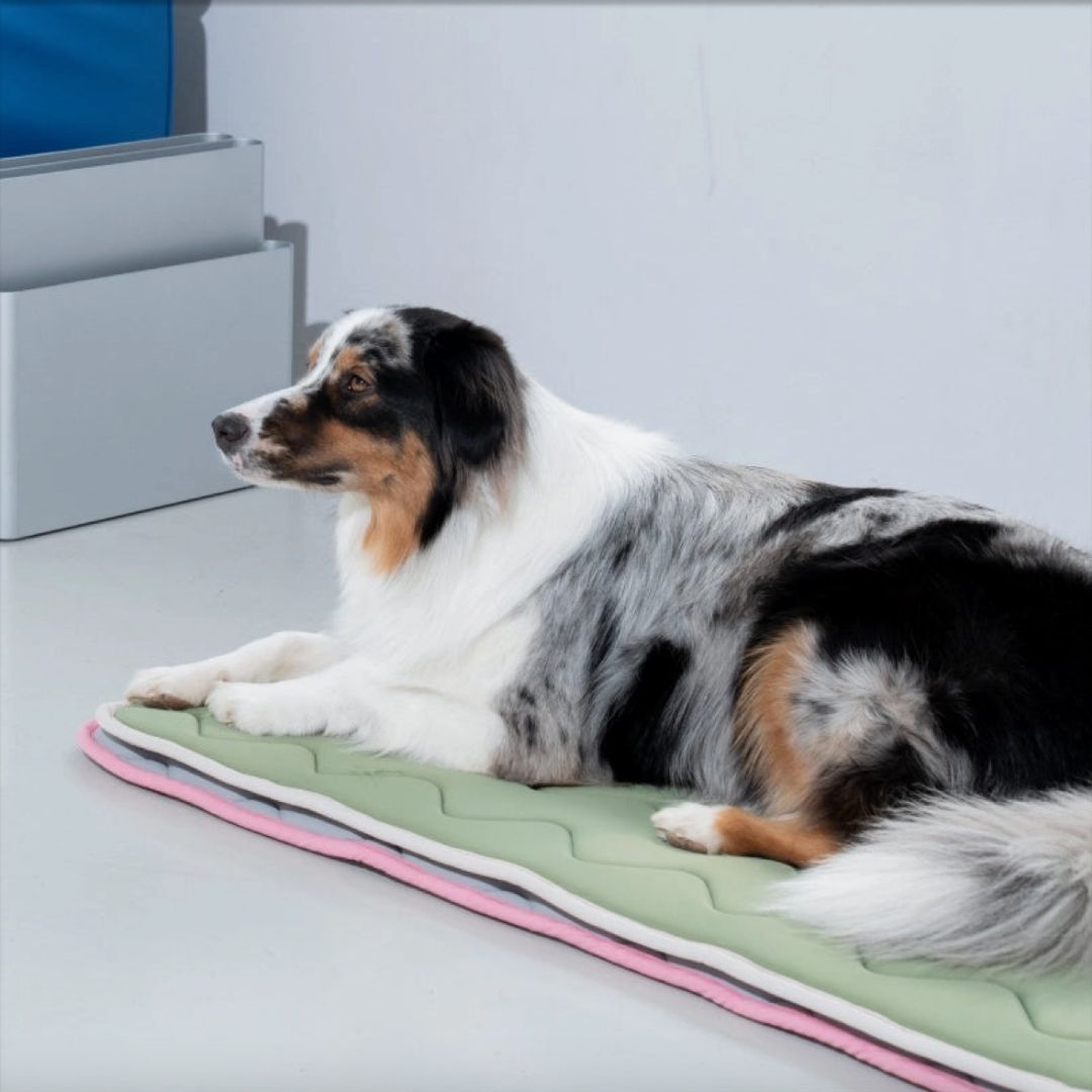 Tapis rafraîchissant à mémoire de forme - Beige