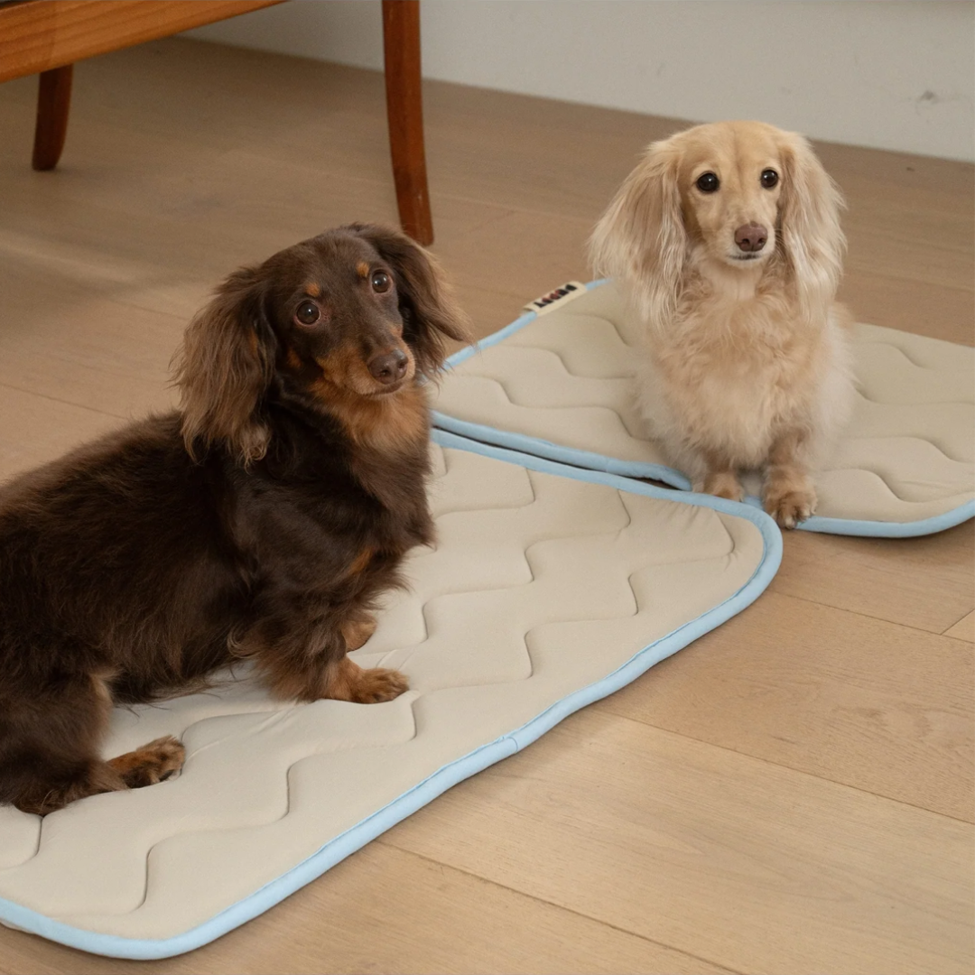 Tapis rafraîchissant à mémoire de forme - Beige