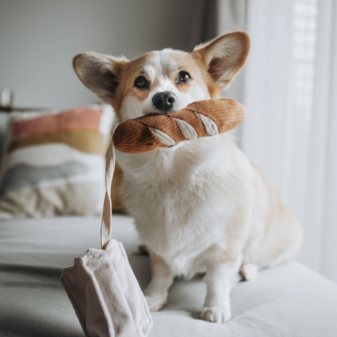 Jouet d'occupation - Mini Baguette