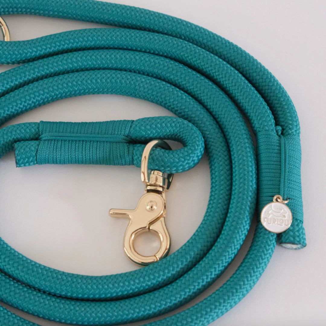 Laisse en nylon - Teal