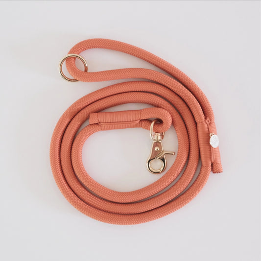 Laisse en nylon - Terracotta