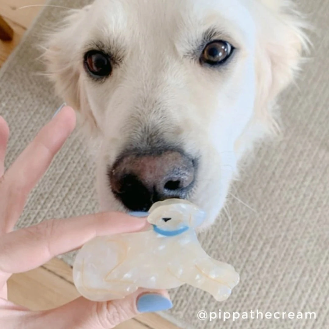 Pince à cheveux - Golden Retriever